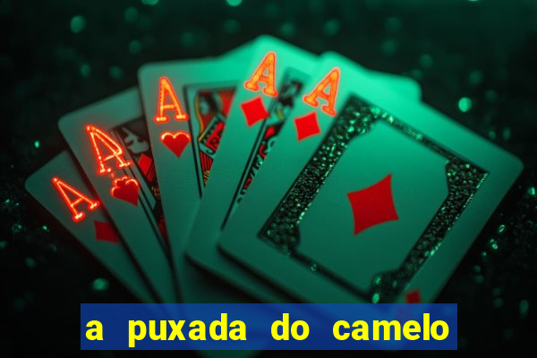 a puxada do camelo no jogo do bicho